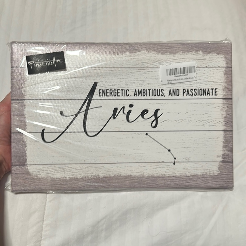 Aries zodiac sign wall decor ♈️